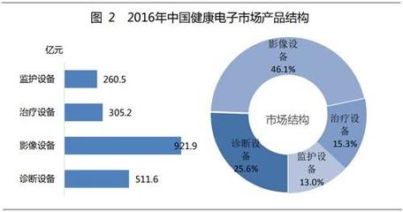 广东太阳神集团朱厚丞:中国电子健康产业竞争分析