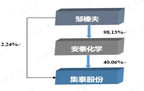 13天12板 著名游资纷纷现身 因电子胶而站上 新能源 光伏 风口的集泰股份 营收小幅上升,业绩大步下滑